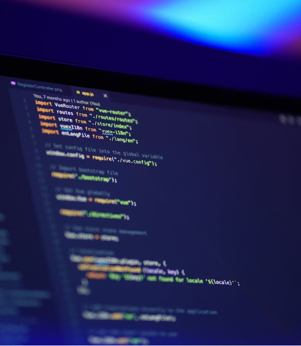 IT & Software Programs